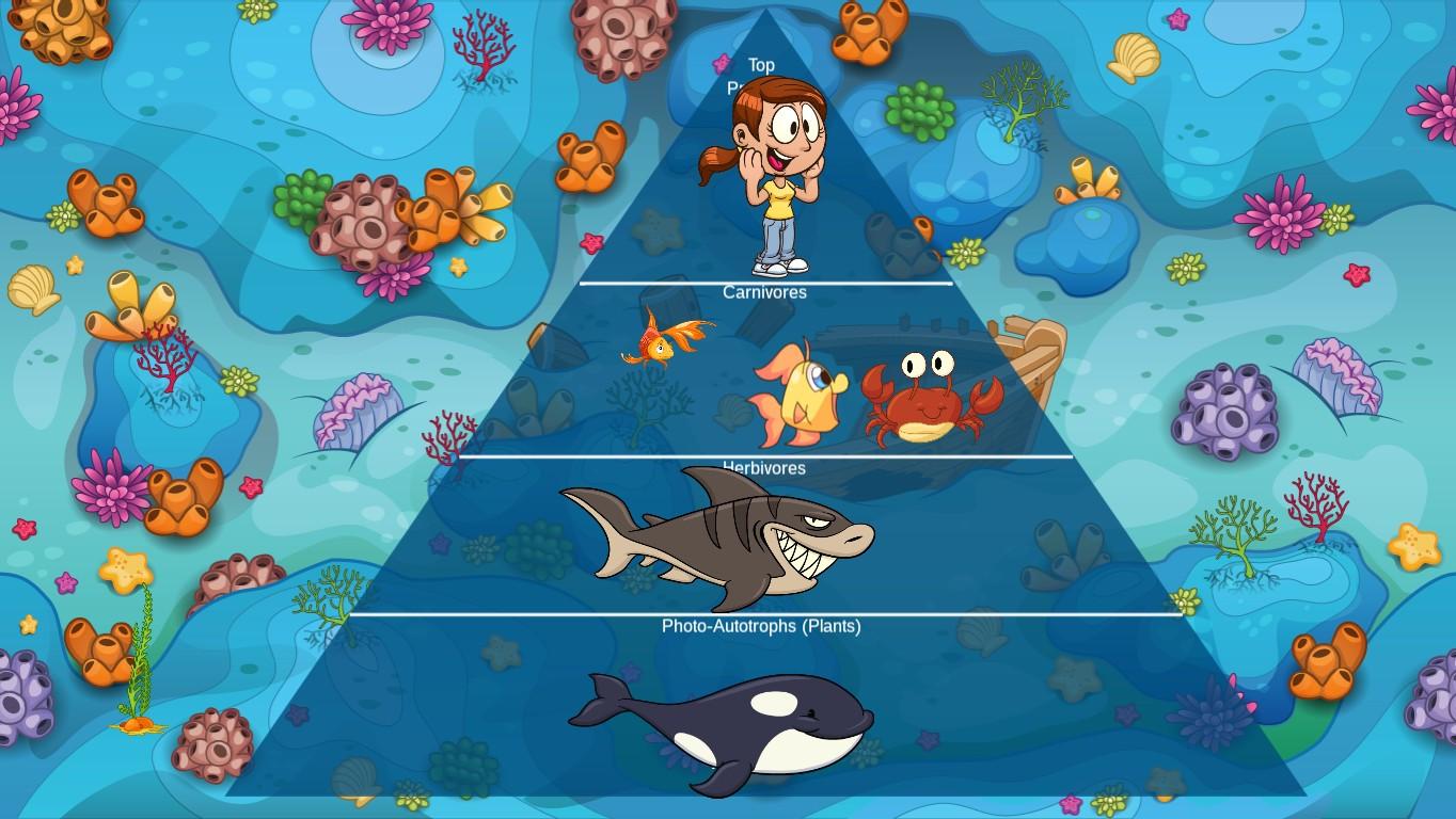 Ocean Ecological Pyramid