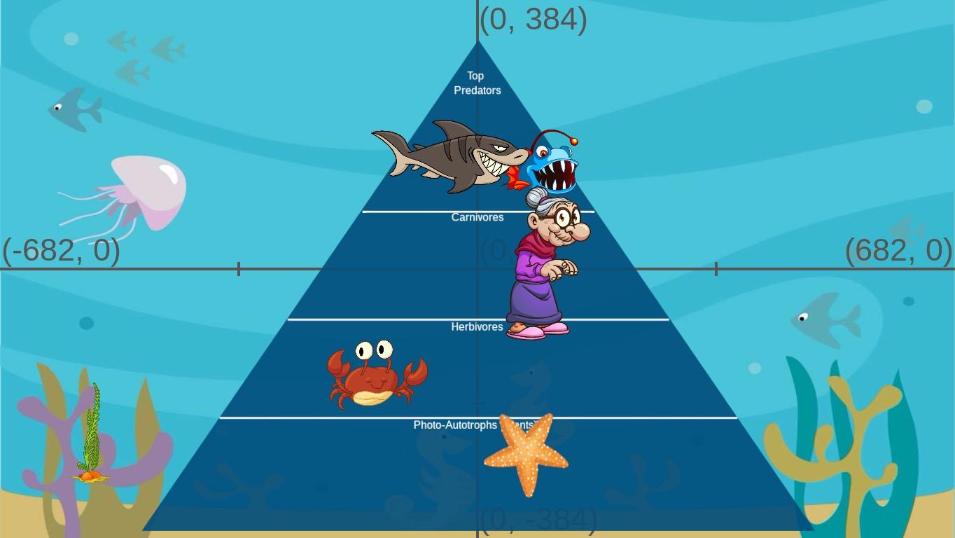 Ocean Ecological Pyramid