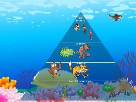 Ecological Pyramid 1