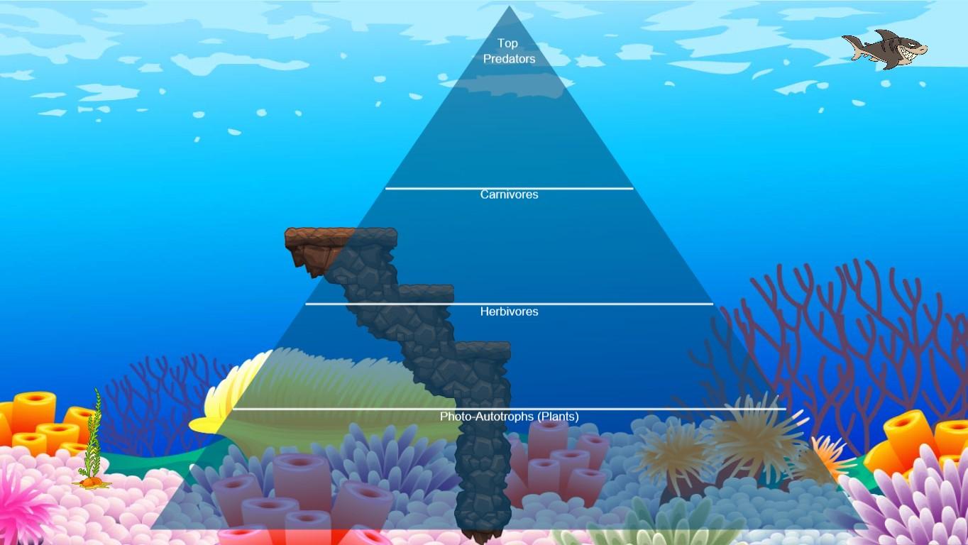 Ocean Ecological Pyramid