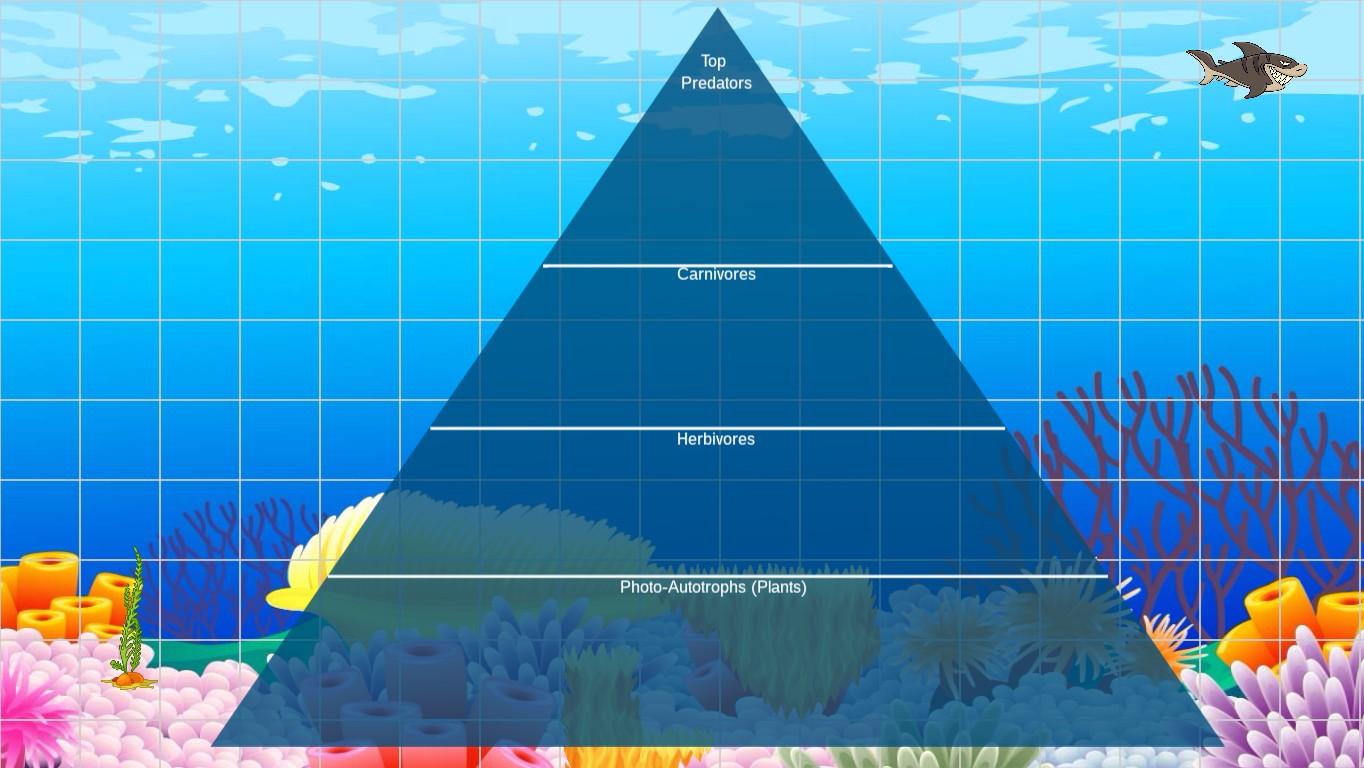 Ocean Ecological Pyramid