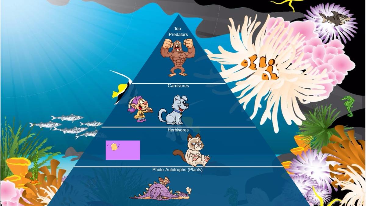 Ocean Ecological Pyramid