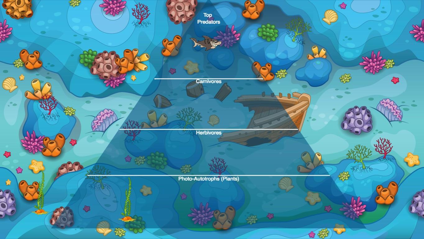 Ocean Ecological Pyramid