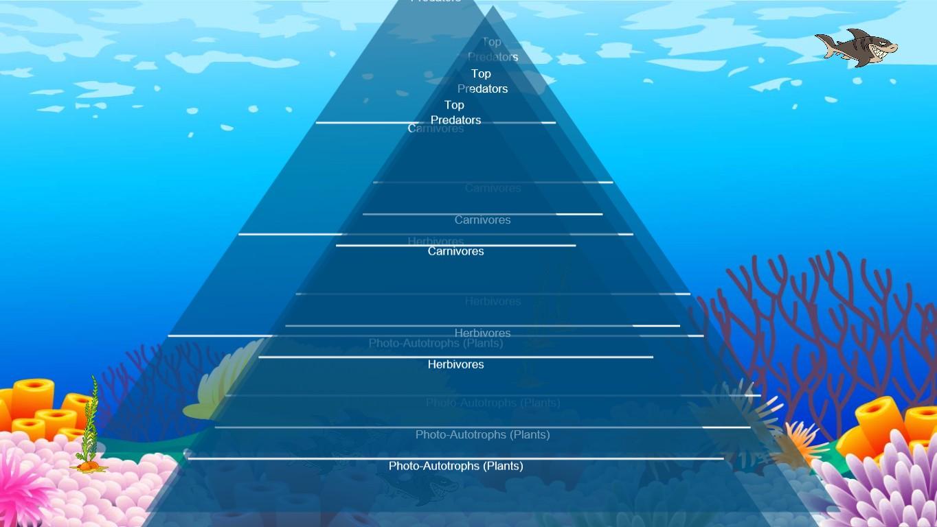 Ocean Ecological Pyramid