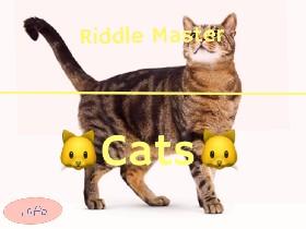 ✖️✖️Riddle Master - CATS✖️✖️