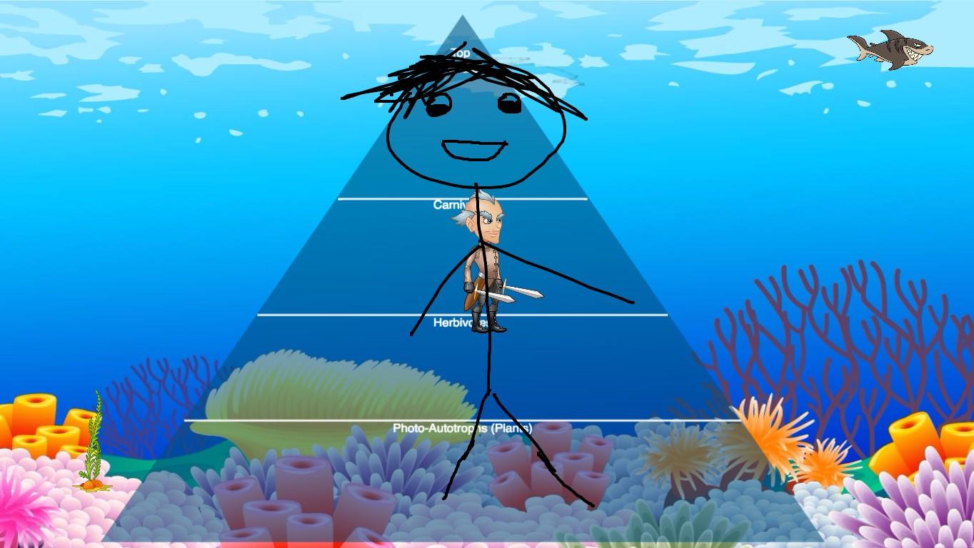 Ocean Ecological Pyramid