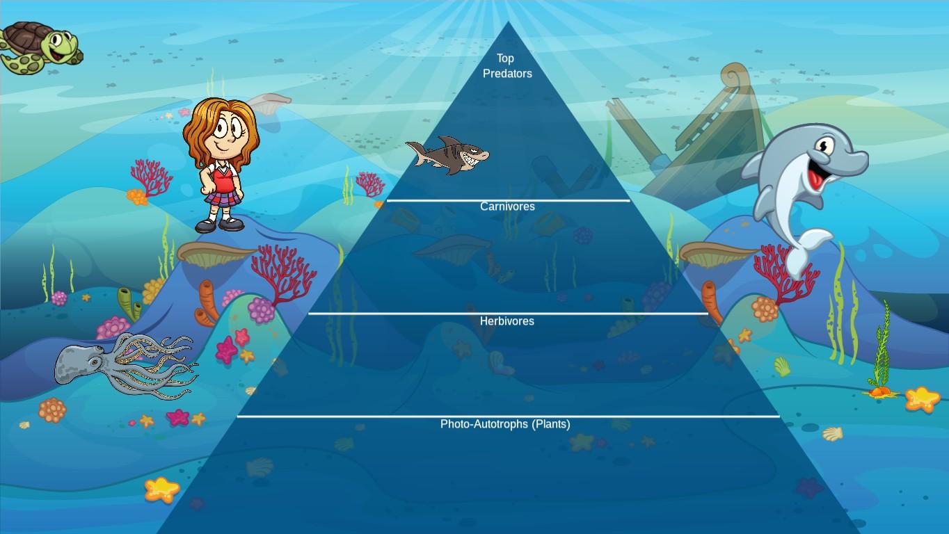 Ocean Ecological Pyramid