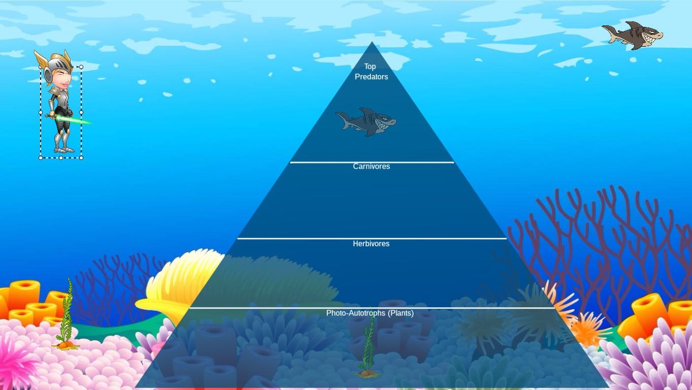 Ocean Ecological Pyramid