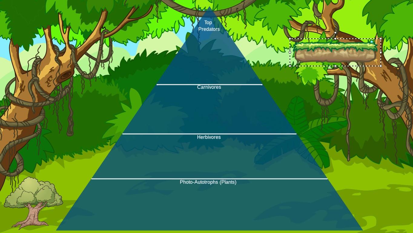 Ocean Ecological Pyramid