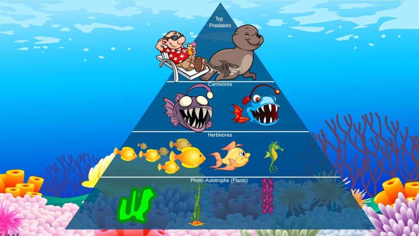 Ocean Ecological Pyramid