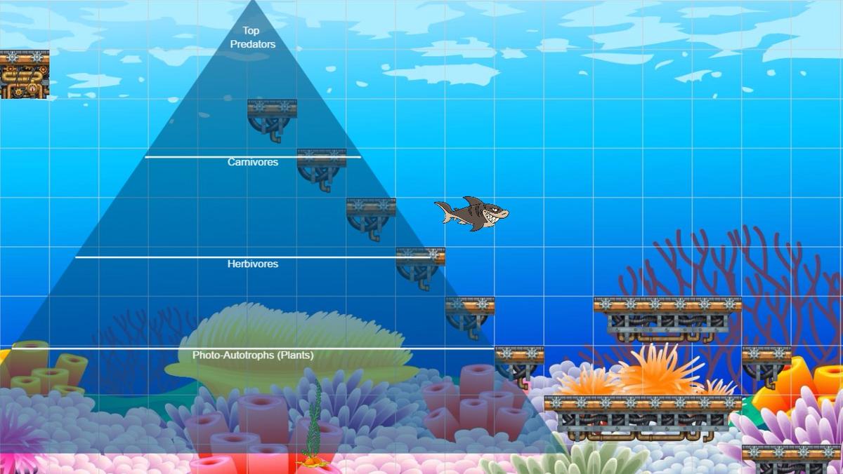 Ocean Ecological Pyramid