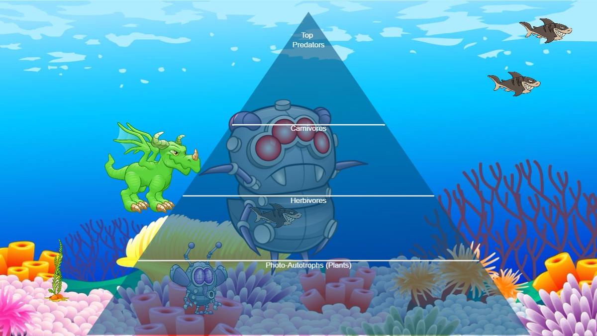 Ocean Ecological Pyramid