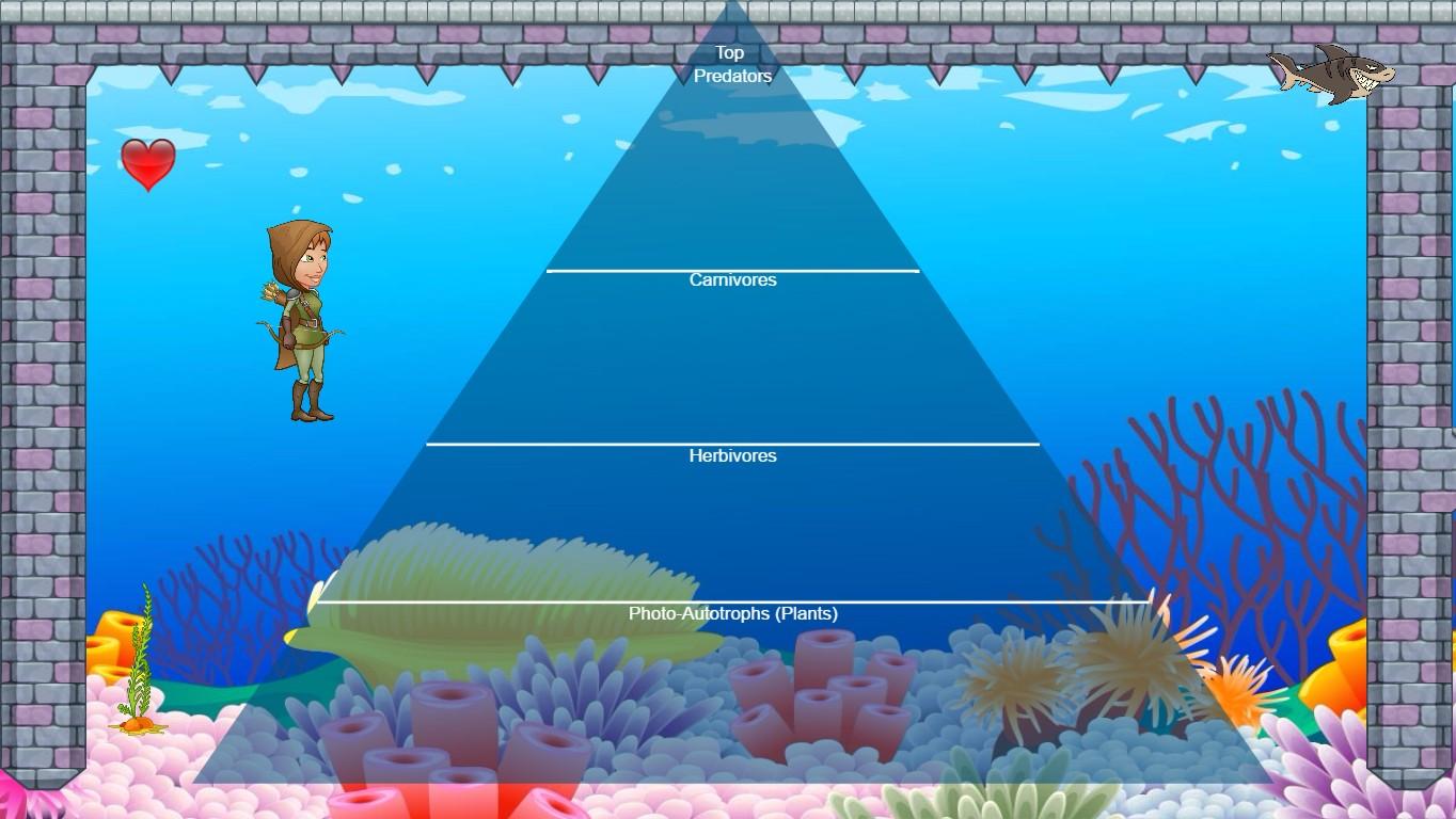 Ocean Ecological Pyramid