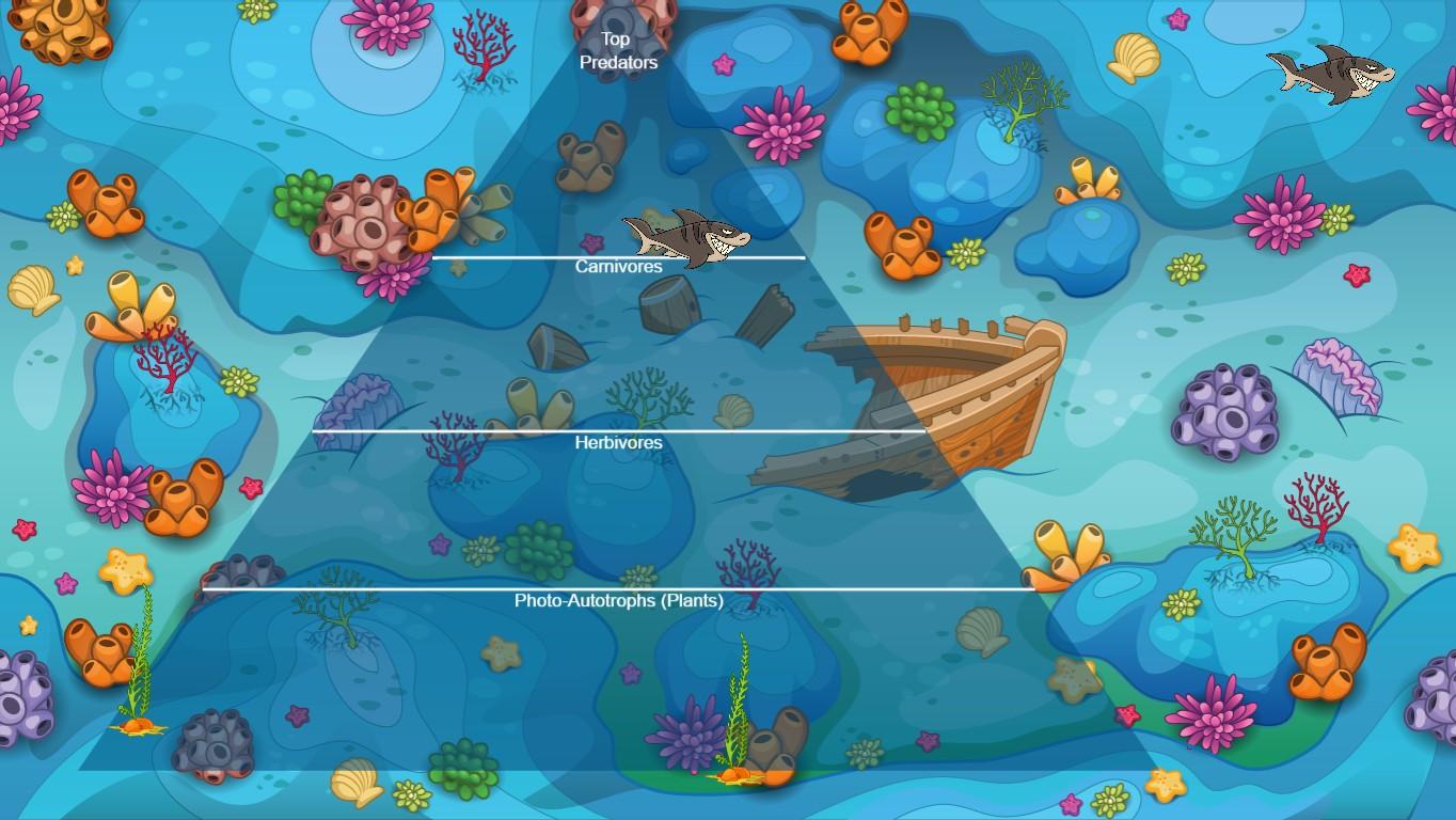 Ocean Ecological Pyramid