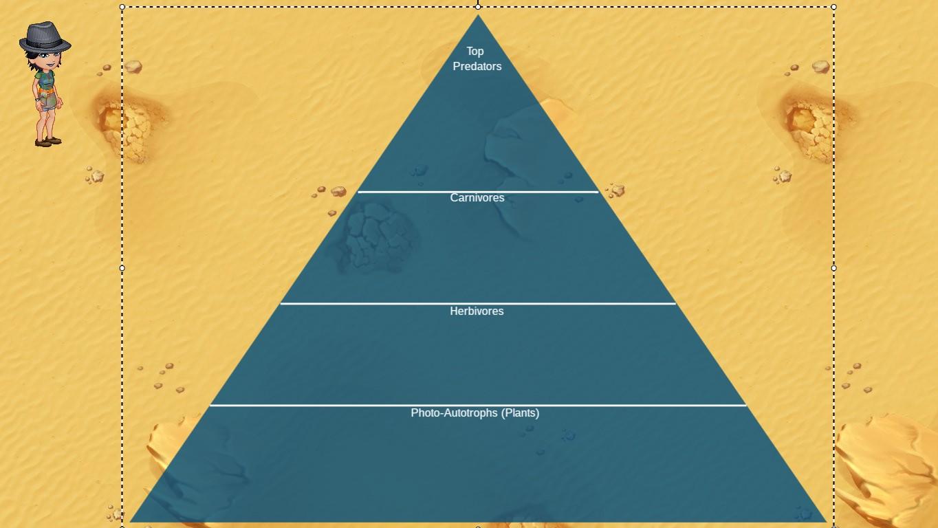 Ocean Ecological Pyramid