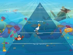 Ecological Pyramid 1