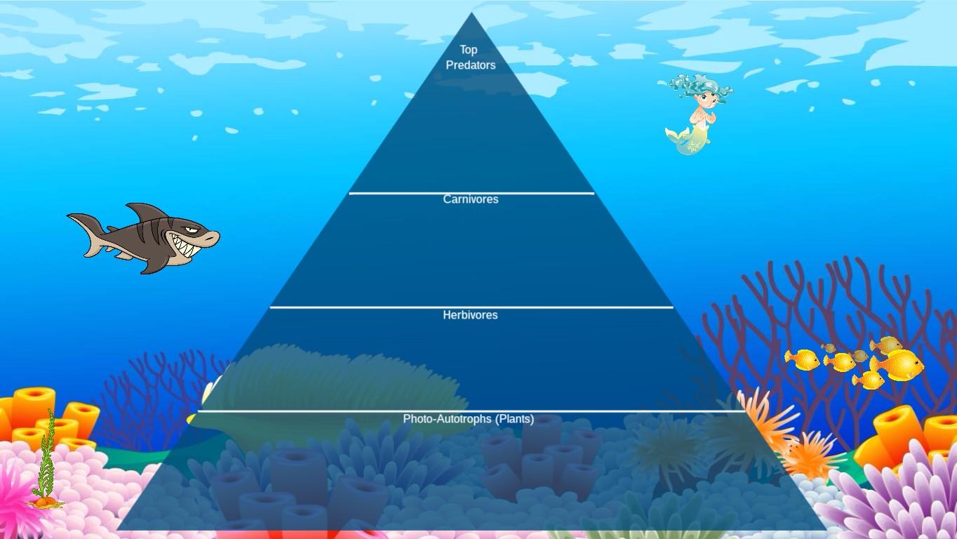 Ocean Ecological Pyramid