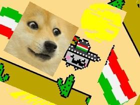 doge Draw