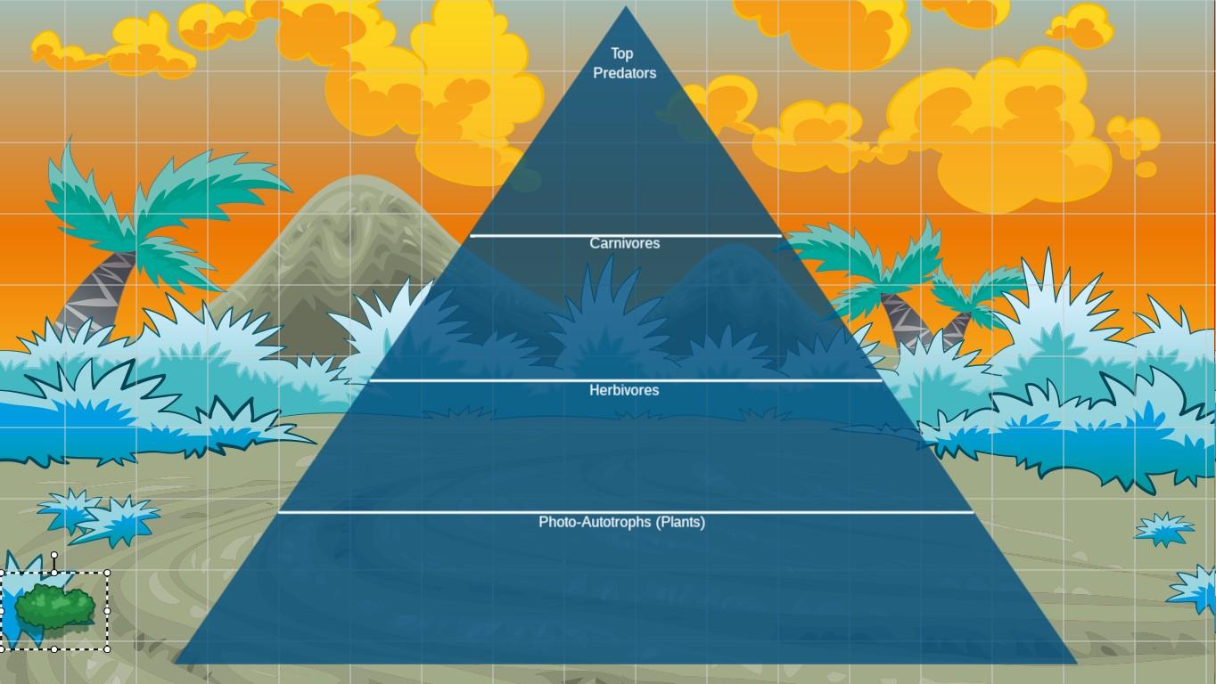 Ocean Ecological Pyramid