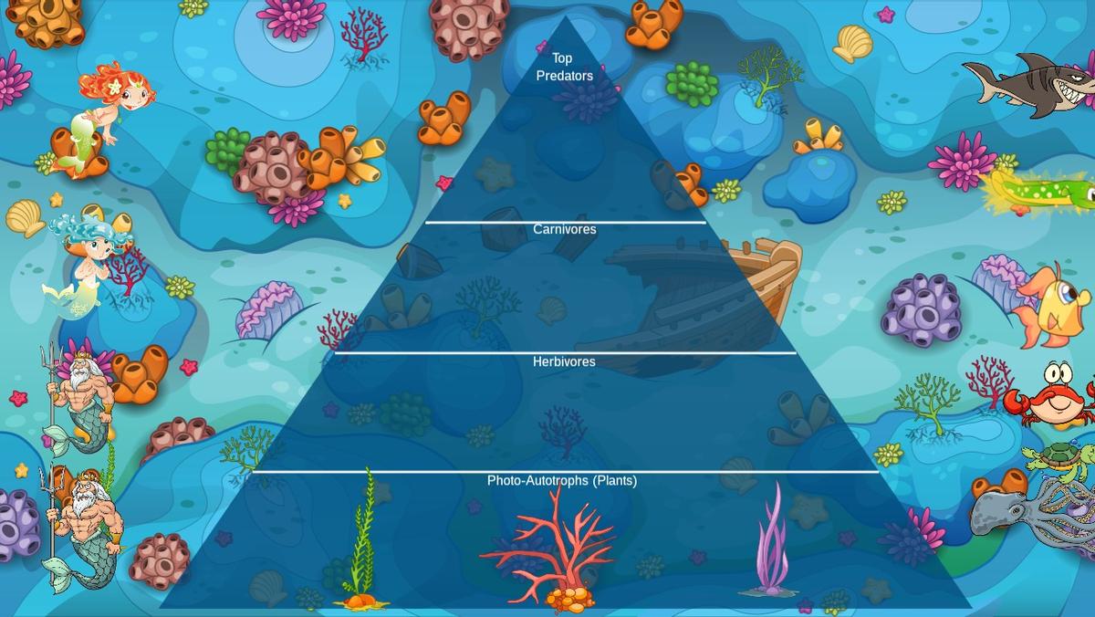 Ocean Ecological Pyramid