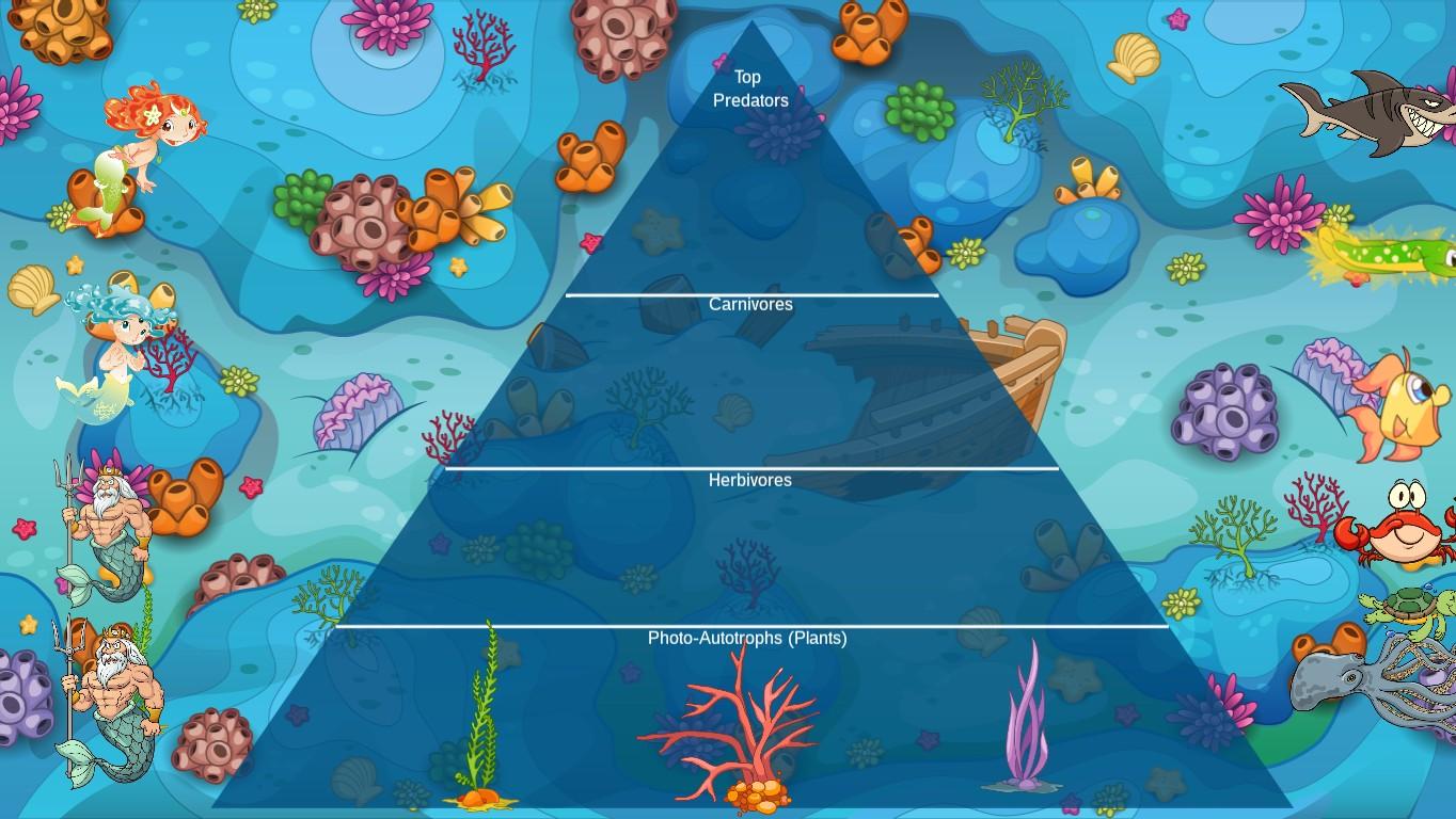 Ocean Ecological Pyramid