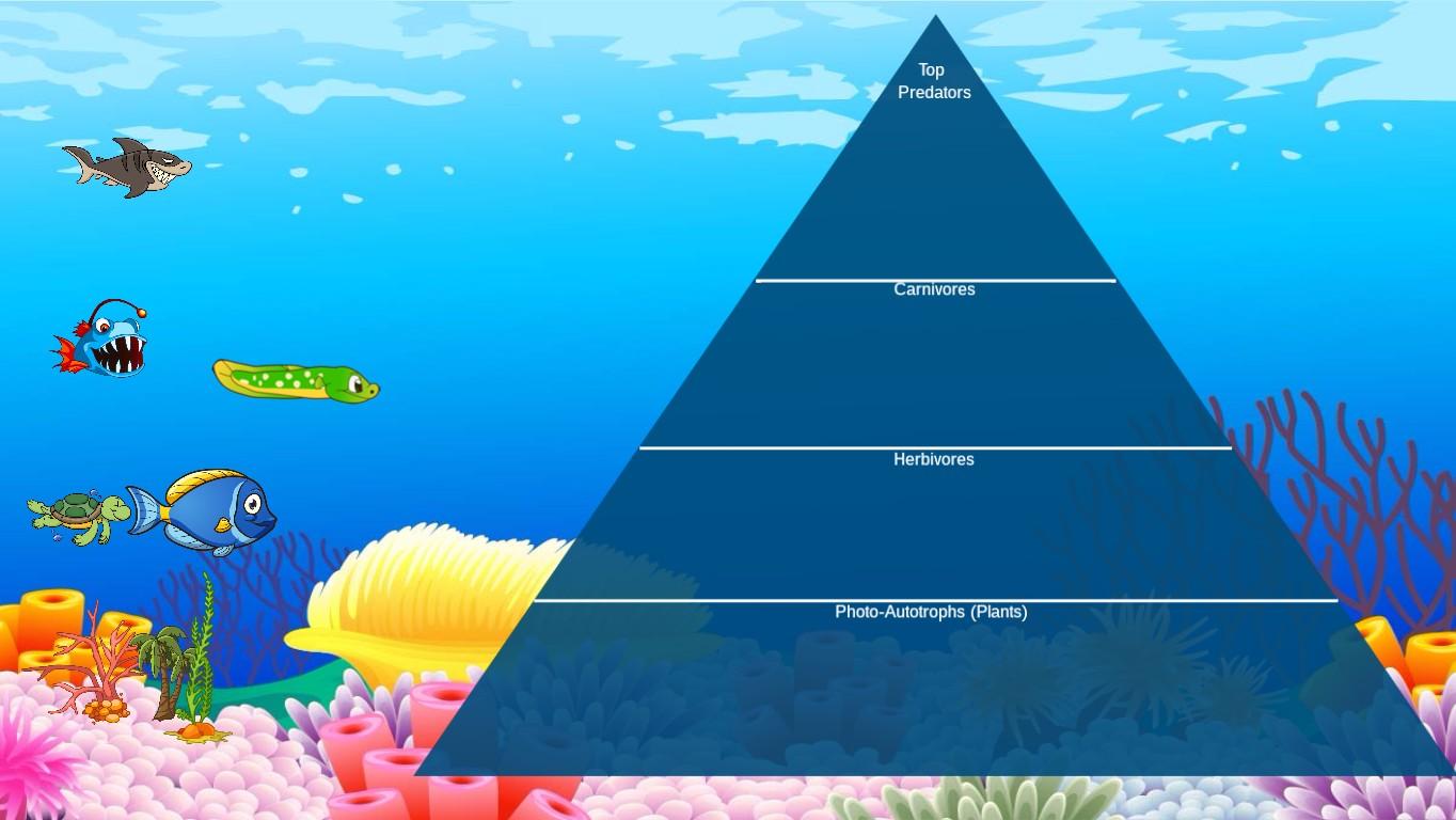 Ocean Ecological Pyramid