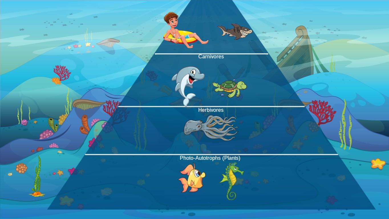 Ocean Ecological Pyramid