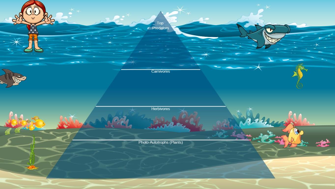 Ocean Ecological Pyramid