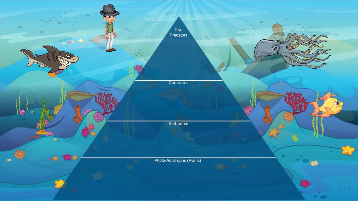 Ocean Ecological Pyramid