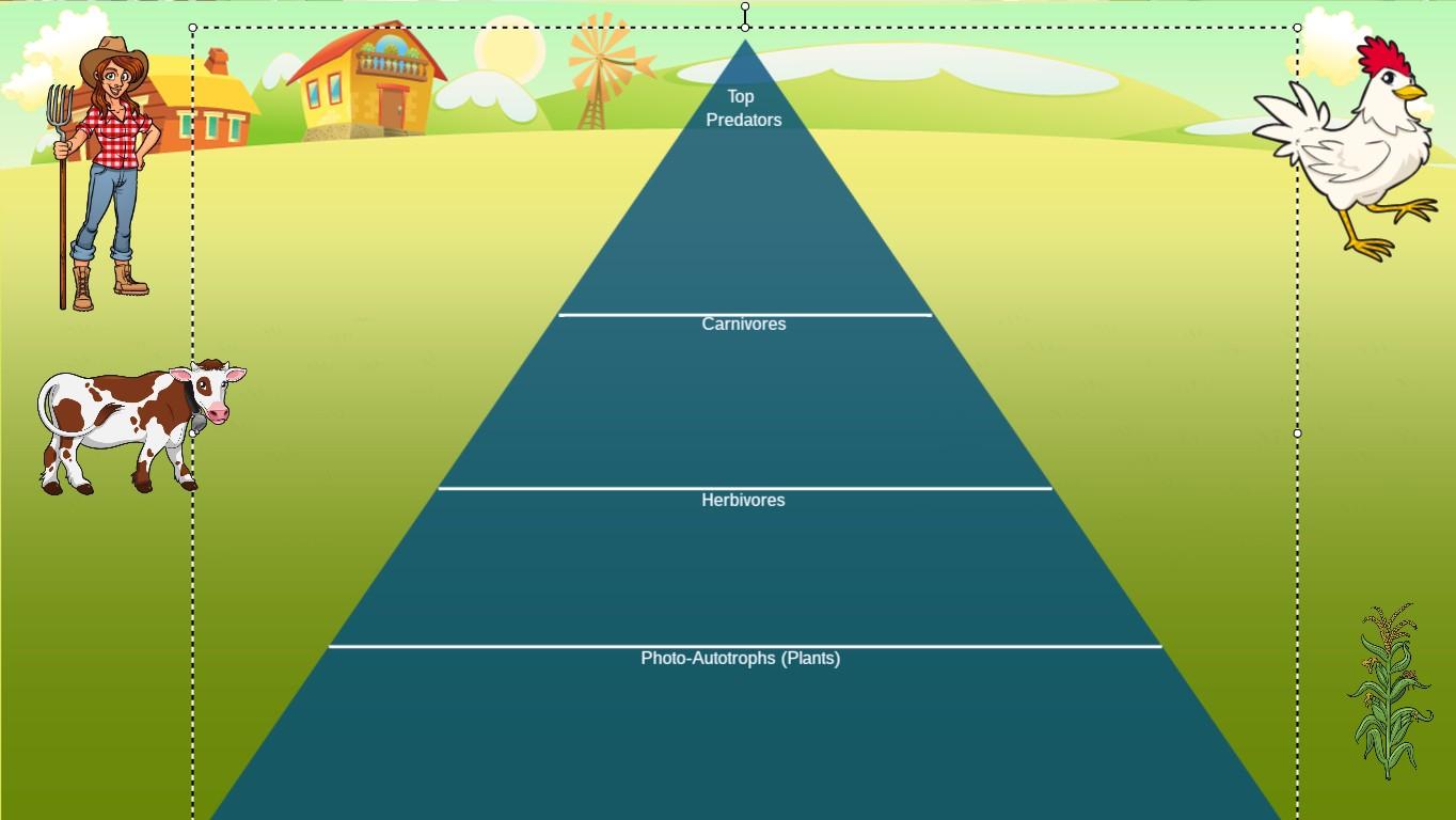 Ocean Ecological Pyramid