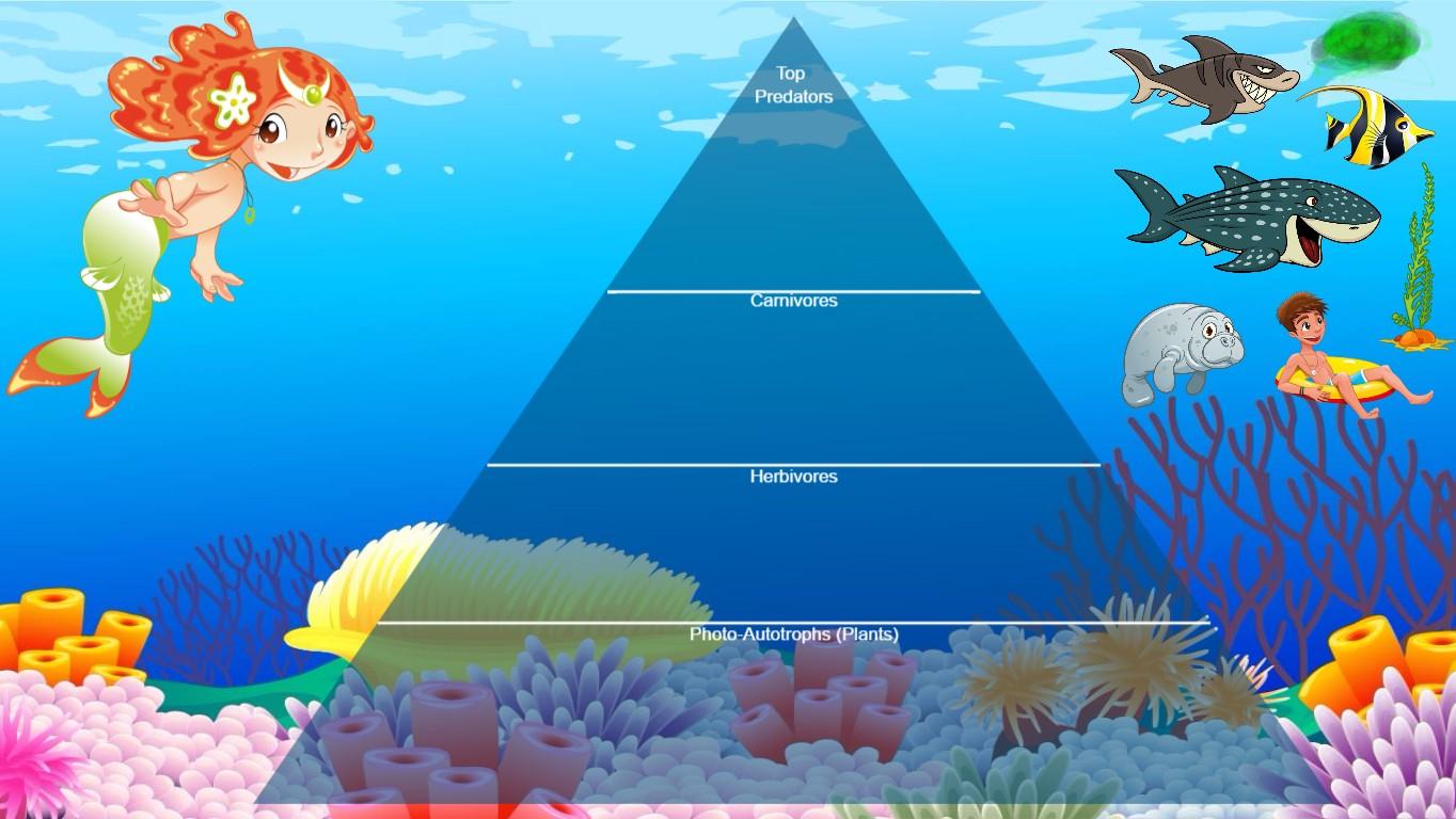 Ocean Ecological Pyramid