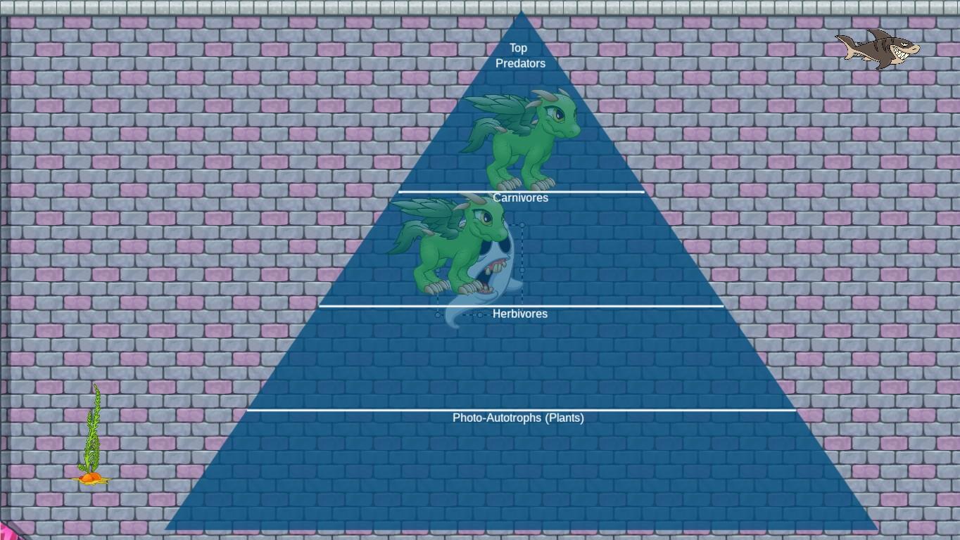 Ocean Ecological Pyramid