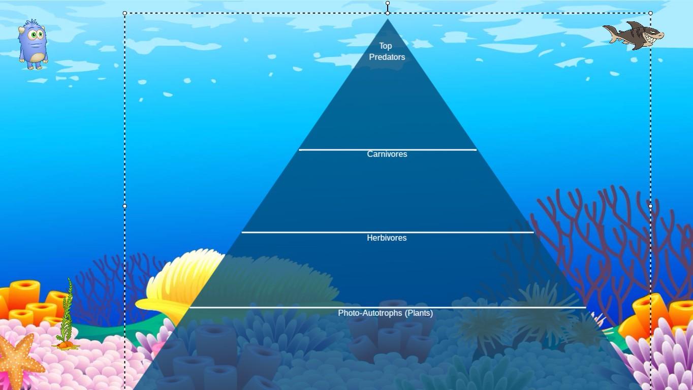 Ocean Ecological Pyramid