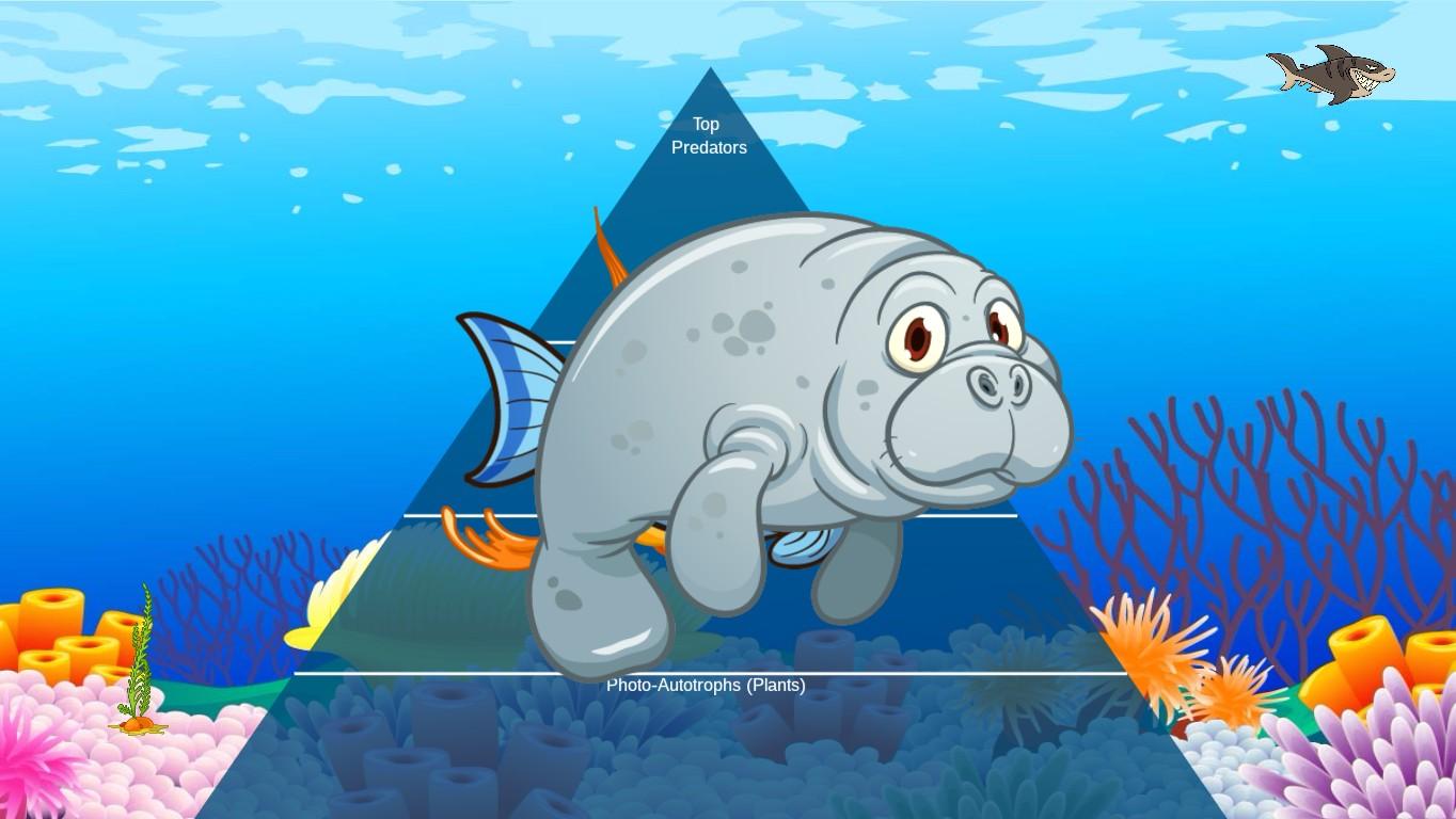 Ocean Ecological Pyramid