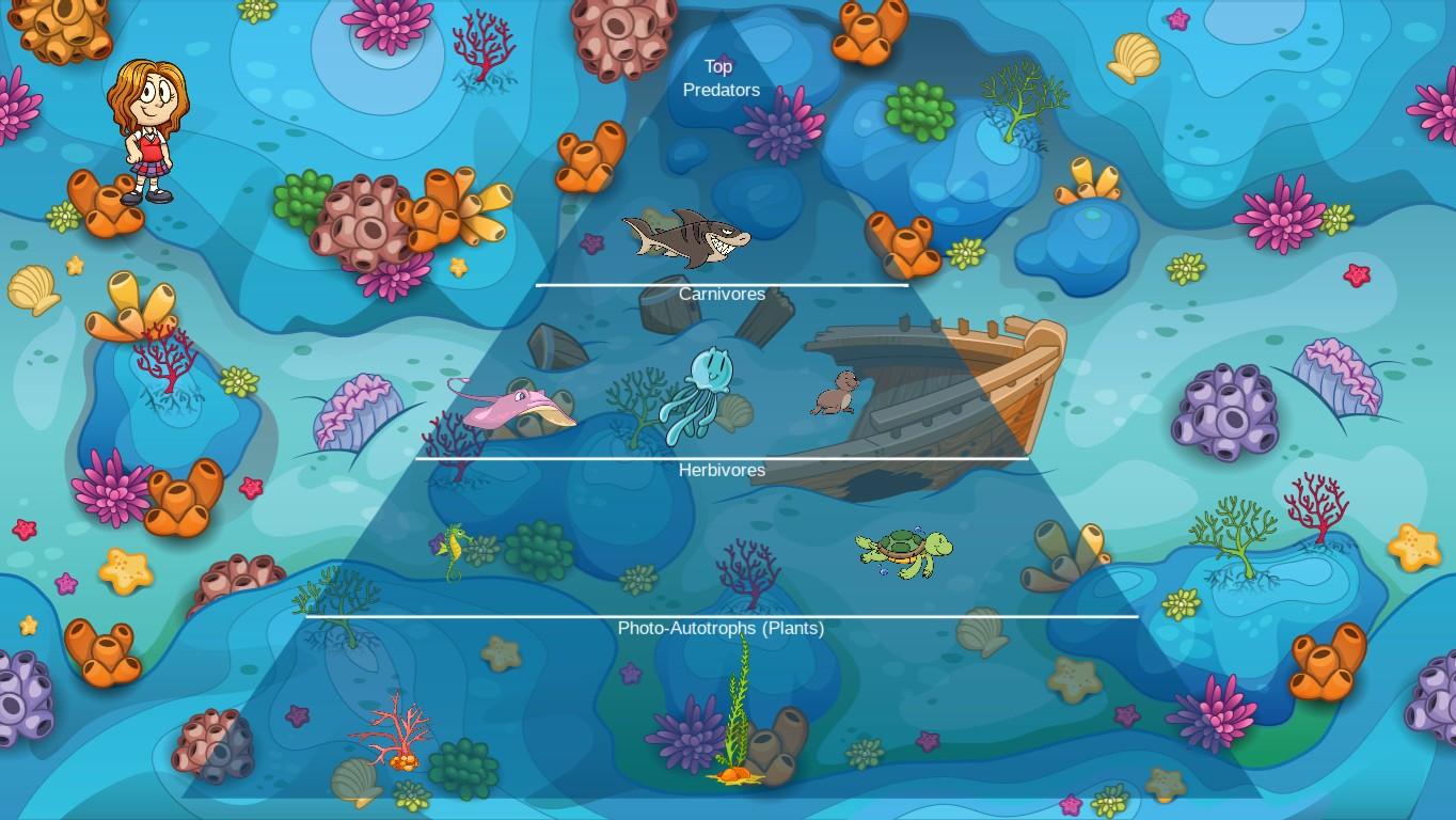 Ocean Ecological Pyramid