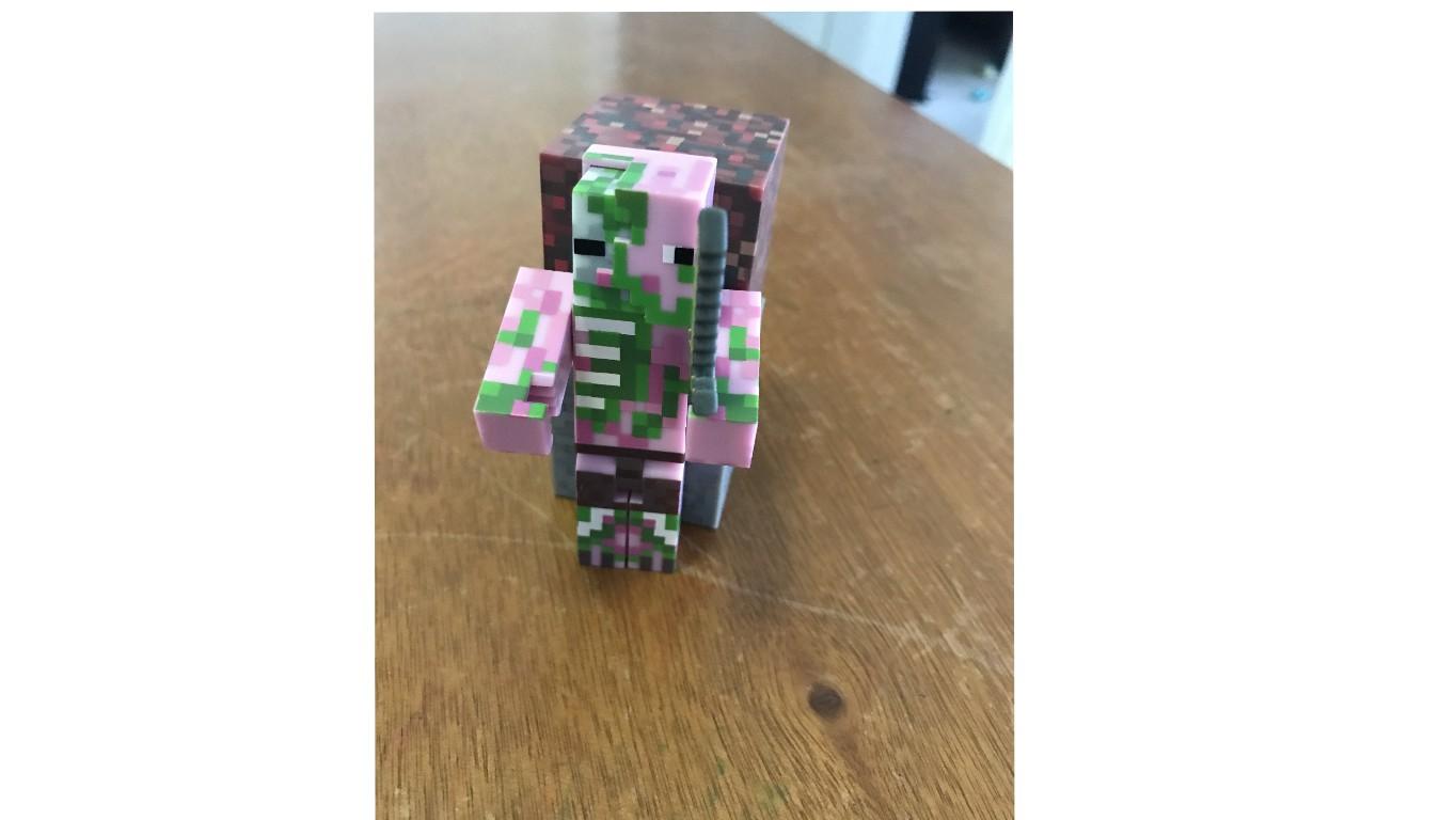 minecraft epic poporshins