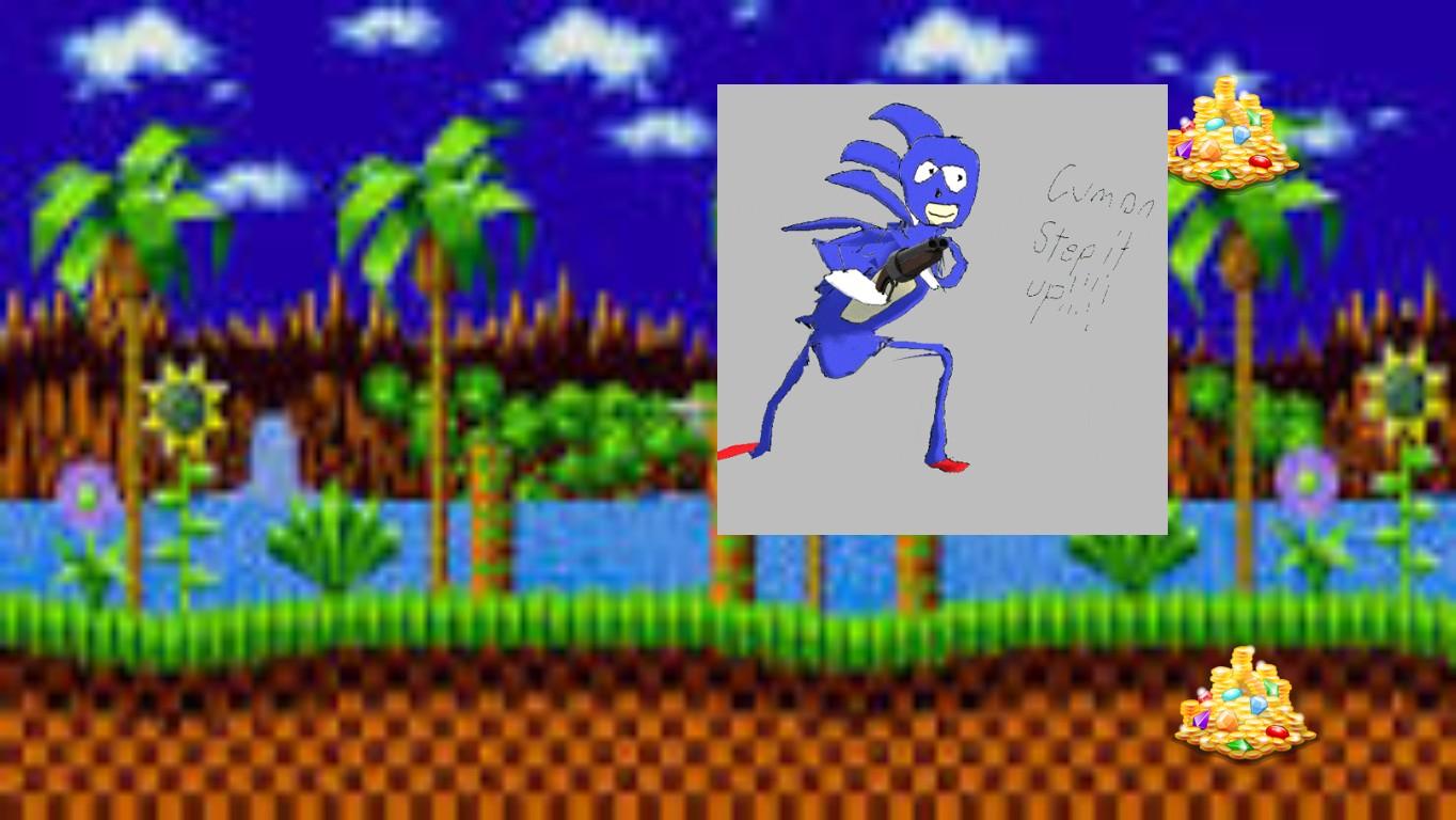 ITS DA SANIC HAGEHOWG LEVEL