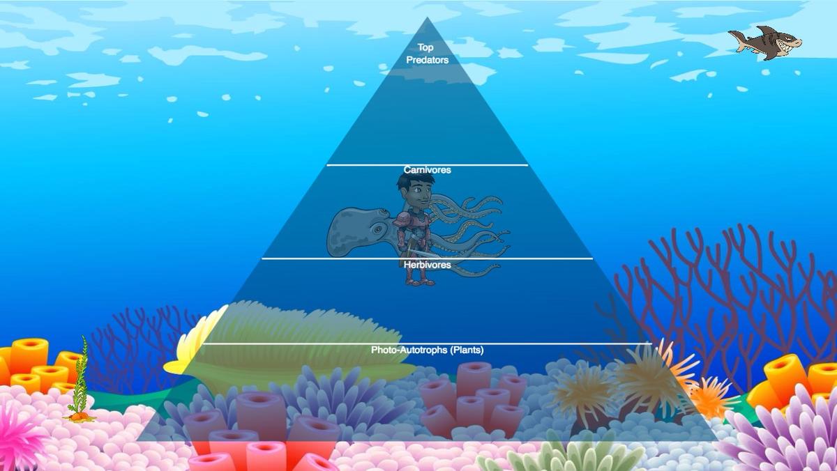 Ocean Ecological Pyramid