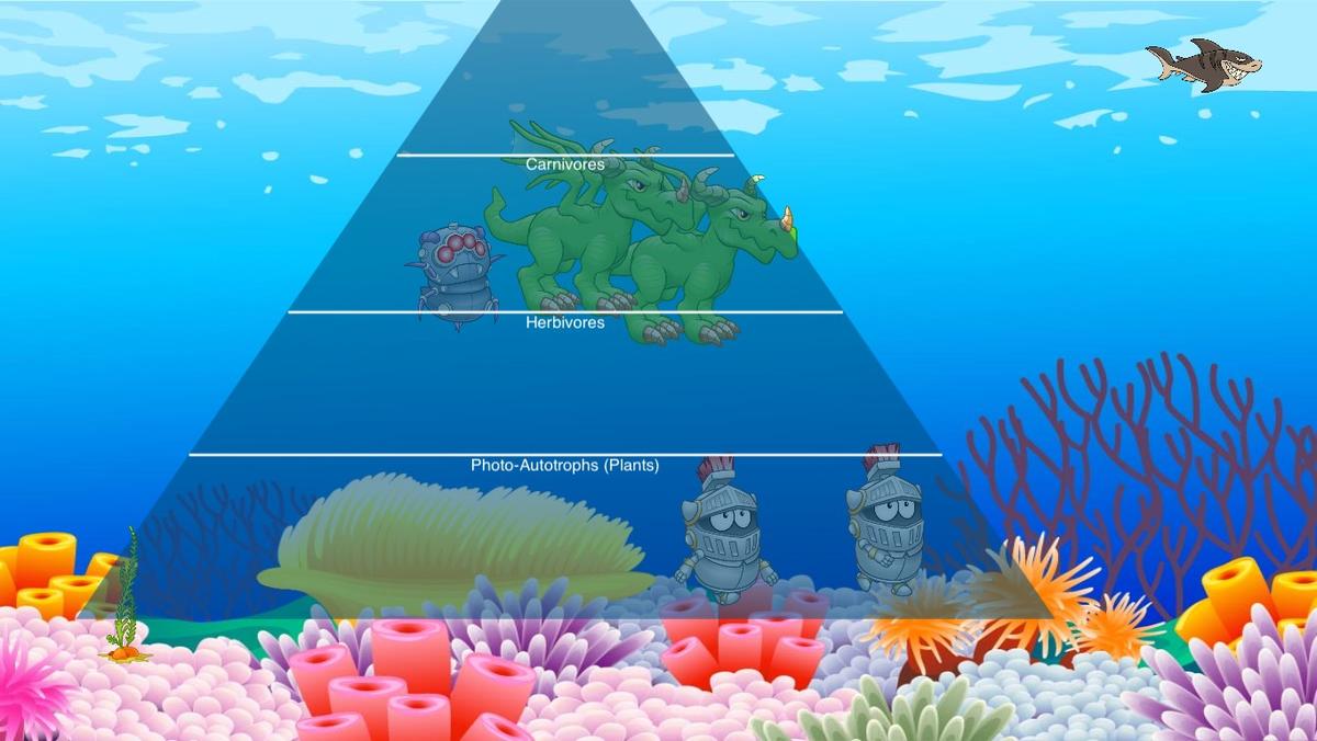 Ocean Ecological Pyramid