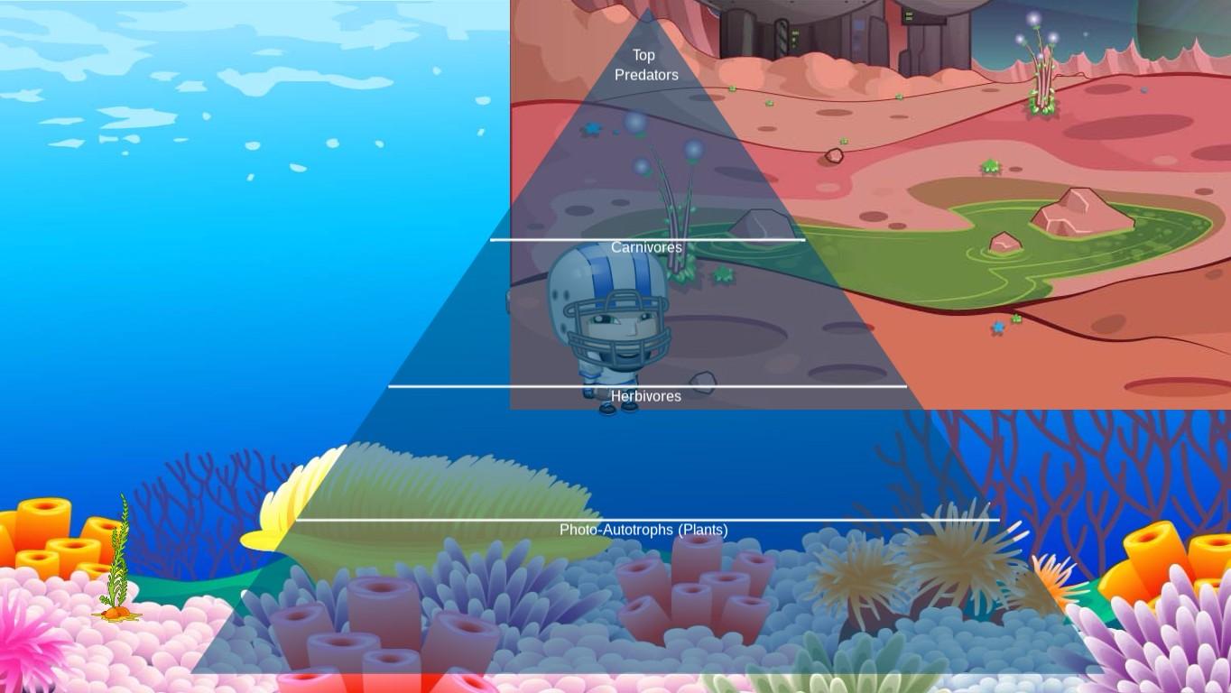 Ocean Ecological Pyramid