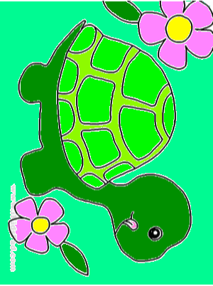 turtle drawing