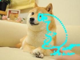 draw on doge 4