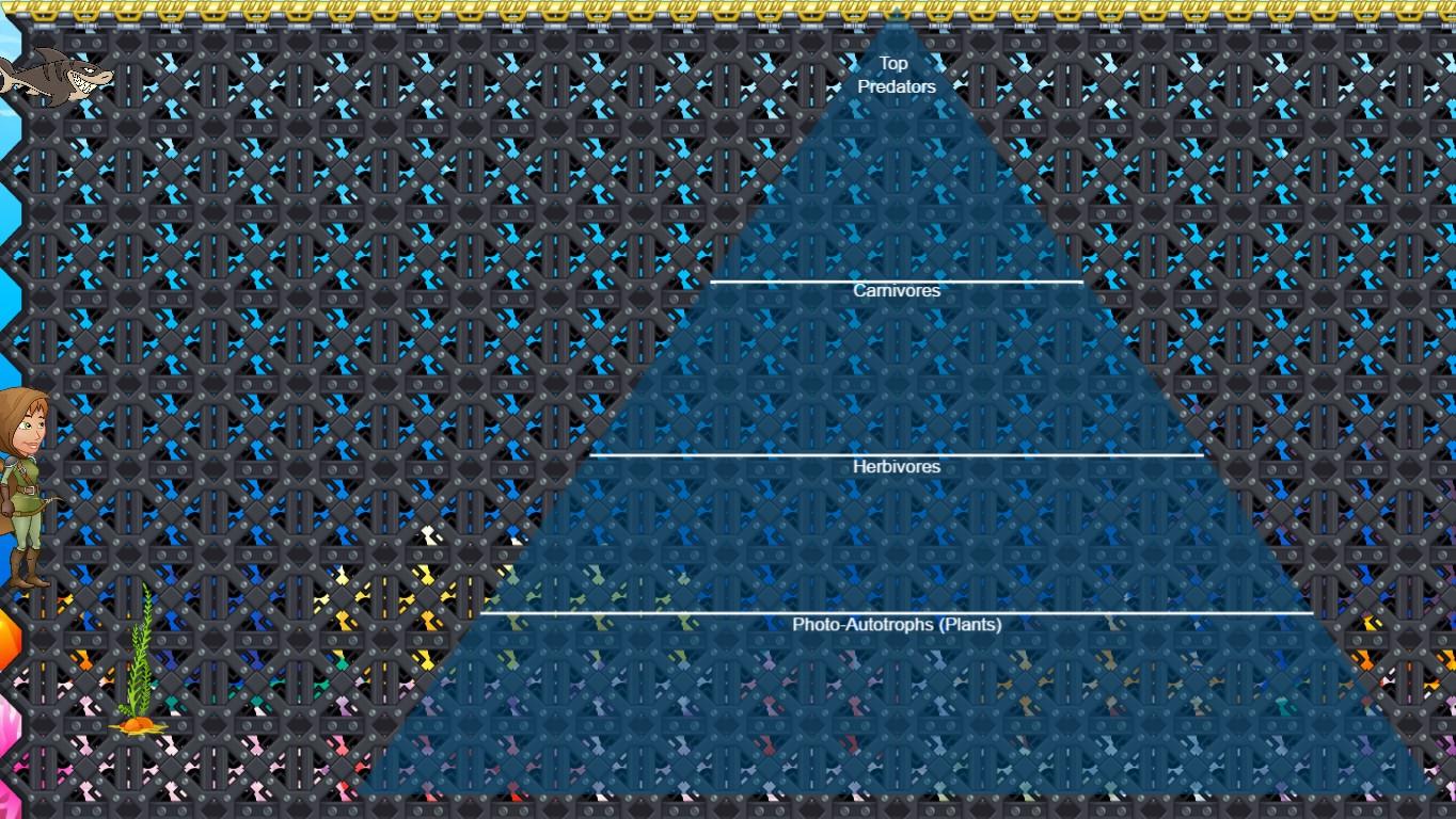 Ocean Ecological Pyramid