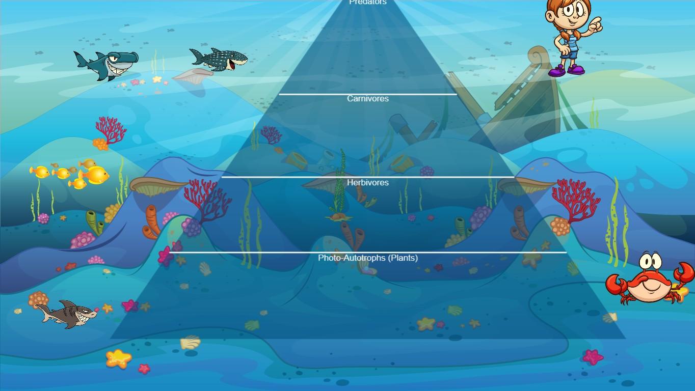 Ocean Ecological Pyramid