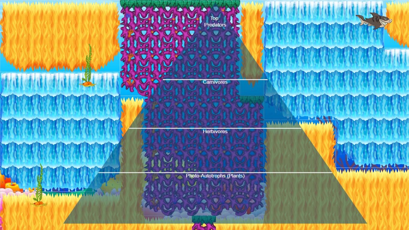 Ocean Ecological Pyramid