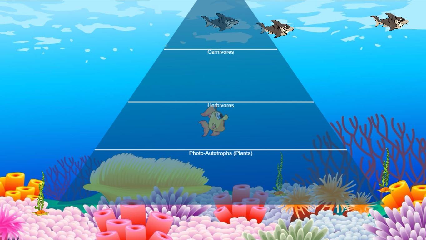 Ocean Ecological Pyramid