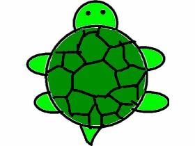 how ro draw a turtle