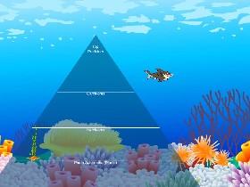 Ecological Pyramid 1