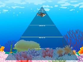 Ecological Pyramid 3