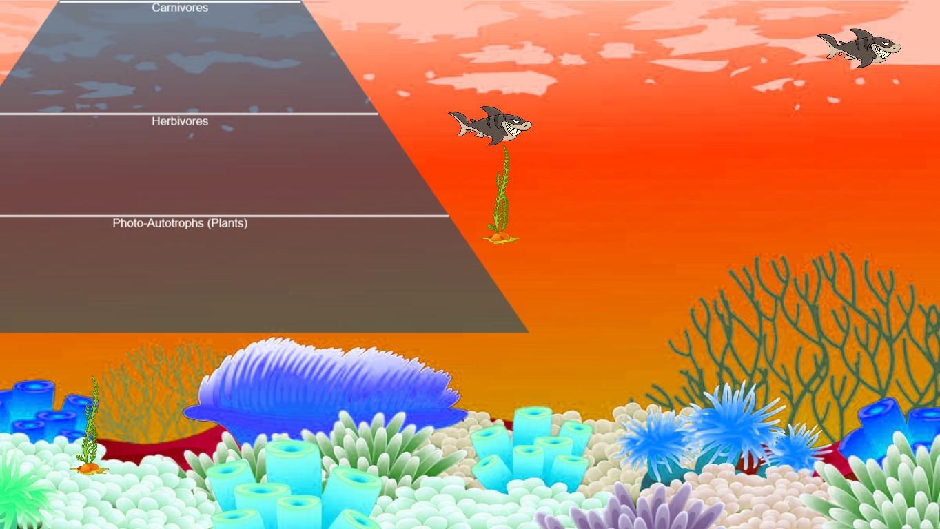 Ocean Ecological Pyramid